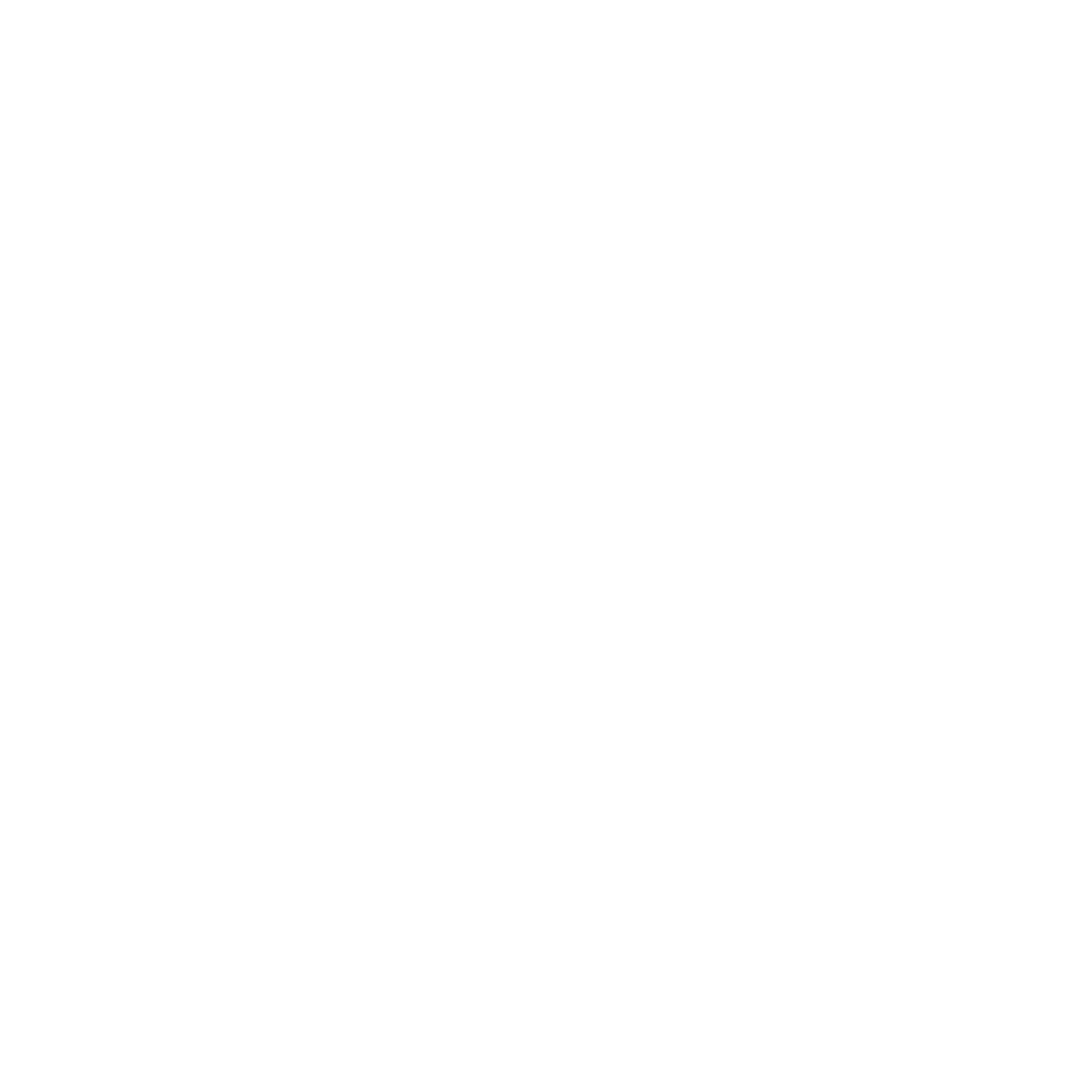 Language Icon