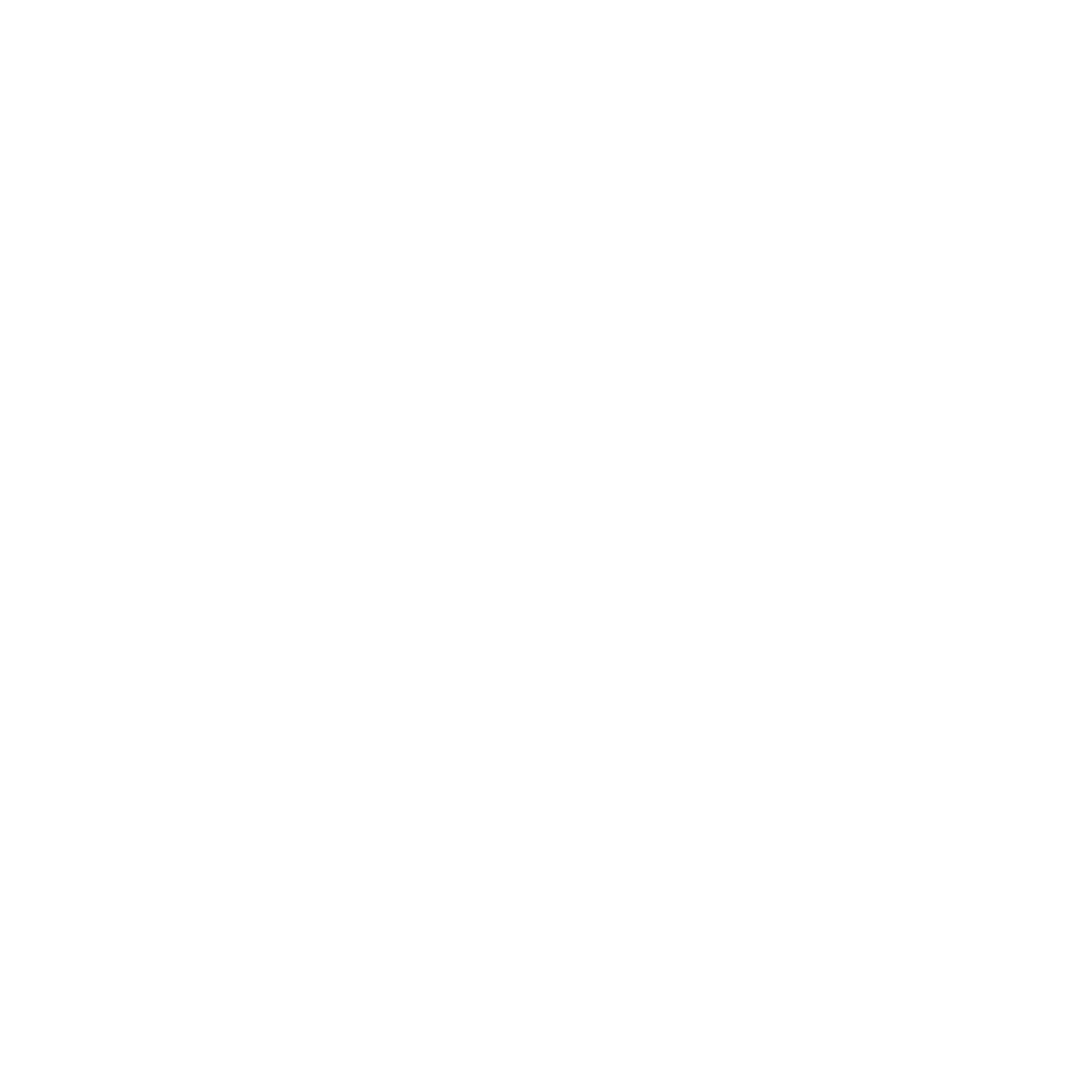 Language Icon